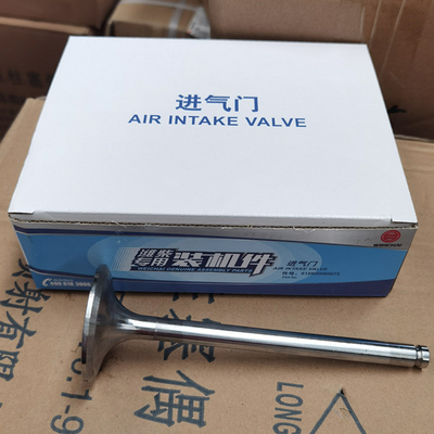 Sinotruk Howo ট্রাক খুচরা যন্ত্রাংশ ইনটেক ভালভ 612600050073