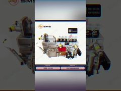 VG1560080023 জ্বালানী ইনজেকশন পাম্প HOWO ট্রাকের যন্ত্রাংশ WD615.69/47